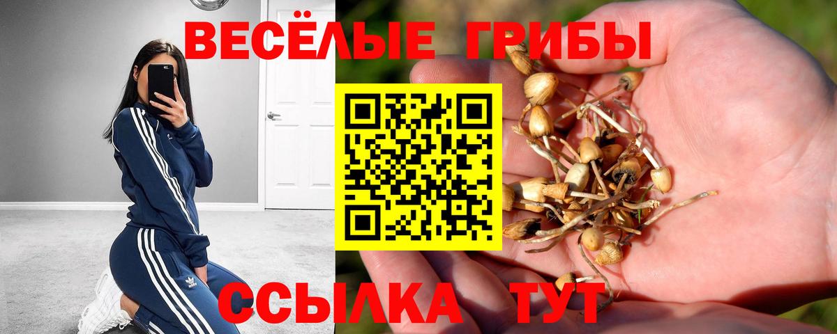 Псилоцибиновые грибы прущие грибы  Вход с VPN  Мичуринск 